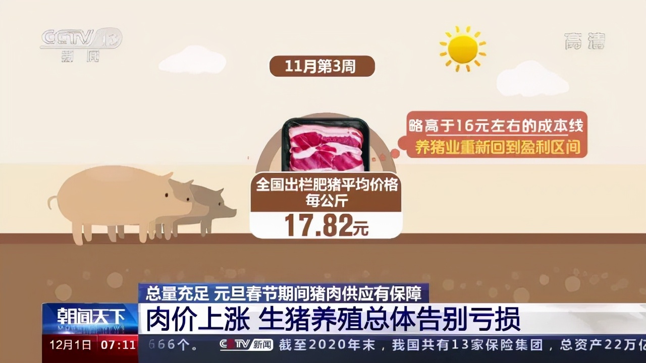 猪肉价格连涨7周后续还稳吗（生猪养殖总体告别亏损）