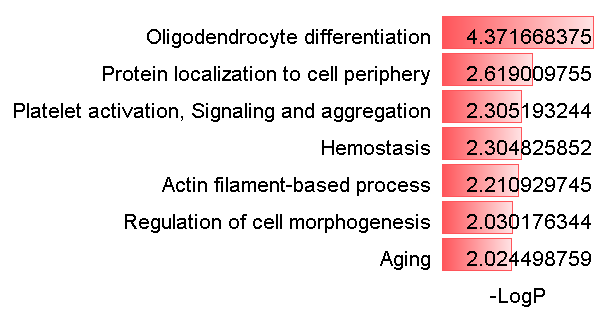 怎么向excel导入图片（excel图片恰好填满方框）