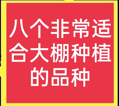 农村种植什么最赚钱（目前室内最赚钱的种植）