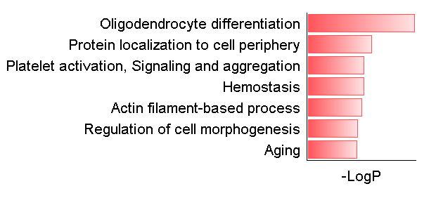 怎么向excel导入图片（excel图片恰好填满方框）