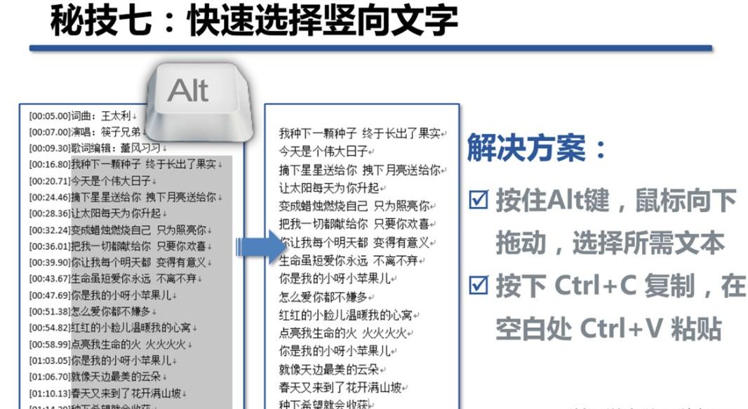 word文档怎么全选文字复制（word文档分页符）