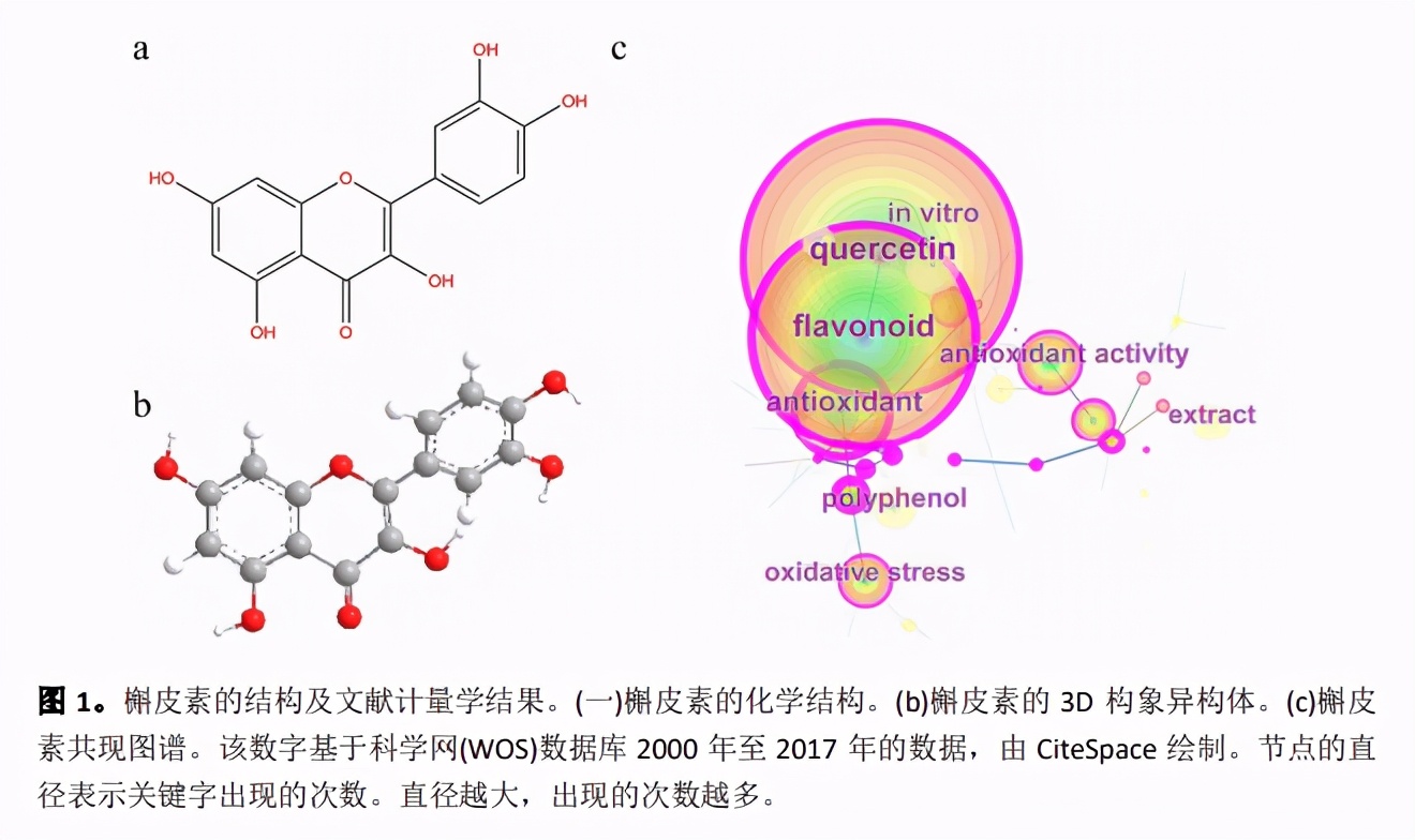 全文翻译网站（超级好用的全文翻译网站）