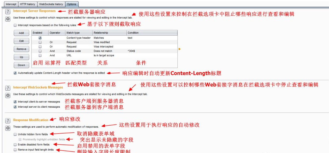 网络漏洞扫描工具有哪些（ddos在线攻击平台推荐）