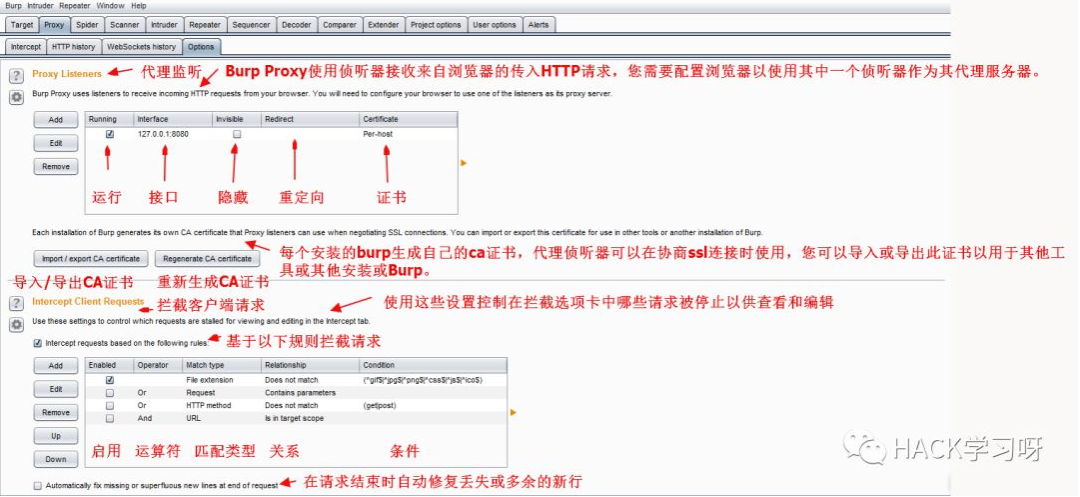 网络漏洞扫描工具有哪些（ddos在线攻击平台推荐）