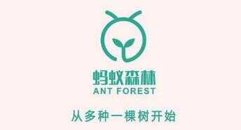 蚂蚁森林保护罩（支付宝蚂蚁森林的能量保护罩）