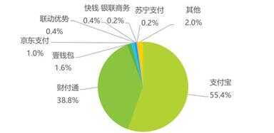 网上购物付款（网上如何购物与付款）