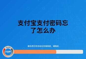 支付宝支付密码忘了怎么办（支付宝如何查看银行卡余额）