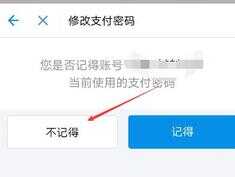 支付宝支付密码忘了怎么办（支付宝如何查看银行卡余额）