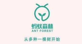 蚂蚁森林保护罩（蚂蚁森林种树的骗局被骗多少人）
