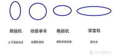 减肥仪器排行榜10强（康佳懒人甩脂机真的能减肥吗）