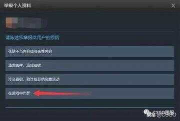 完美举报代码（csgo举报输入什么英文）