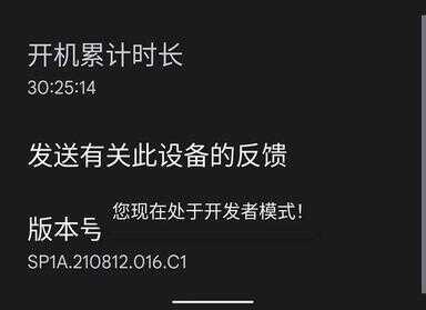 开发者模式有什么危害（为什么开发者选项设置完又恢复了）