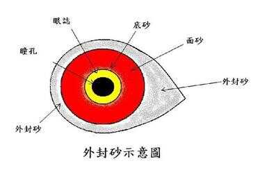 信鸽的眼睛有什么特点（不可留种的信鸽眼睛）