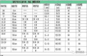 c80是多少码的罩杯（c80内衣是多大尺寸）