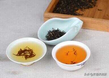 中国茶叶排名前十（中国十大名茶有哪些品种）