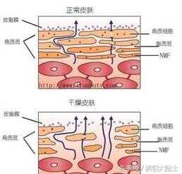 长期用爽肤水的危害（一天经常喷爽肤水好吗）