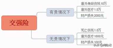 车险分几种（车险主要买哪几种险种）