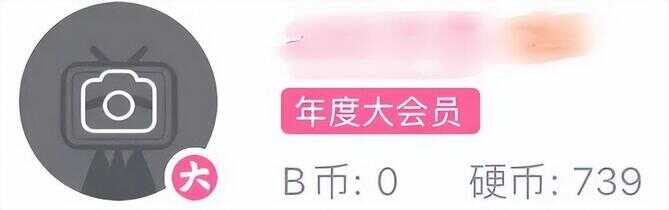 b站1万播放量多少钱（up主1万硬币收入多少）