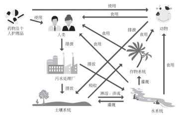 过期的彩妆眼影属于什么垃圾（美宝莲眼影保质期）