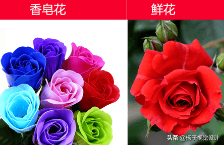 香皂花送人意义是什么（送香皂花好吗）