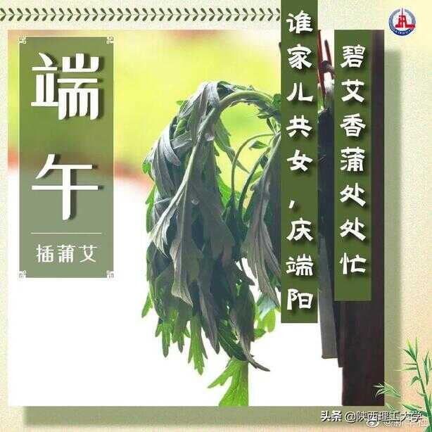 端午节有哪些特色礼品（端午节的礼物有哪些）