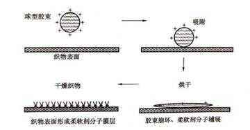 柔顺剂的正确使用方法（衣物柔顺剂有必要用吗）