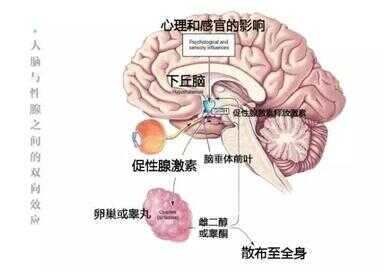 喜欢女生就想睡她，男生的原始动力