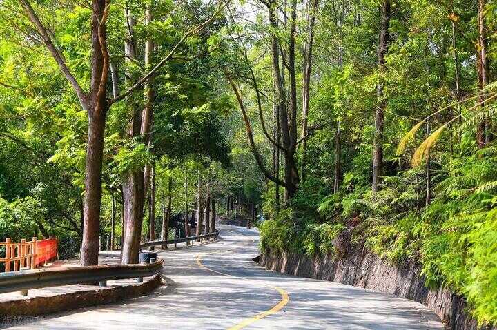 东莞旅游必去十大景点（东莞景点排行榜前十名的地方）