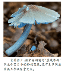 蓝瘦香菇（女生蓝瘦香菇可爱图片）