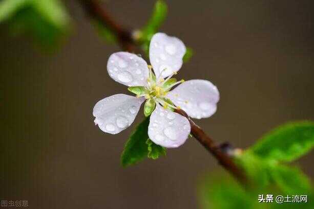 梅雨季节是几月份到几月份结束（梅雨季节的唯美句子）