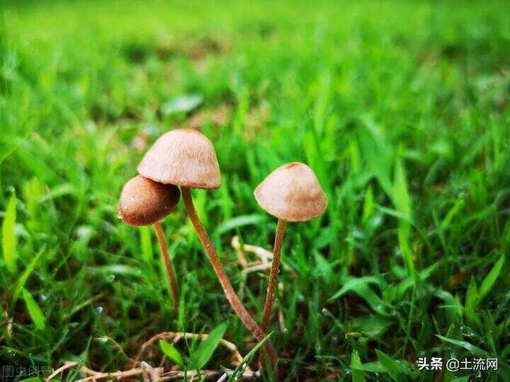 梅雨季节是几月份到几月份结束（梅雨季节的唯美句子）