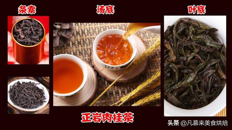 肉桂茶属于什么茶（肉桂茶是不是很贵）