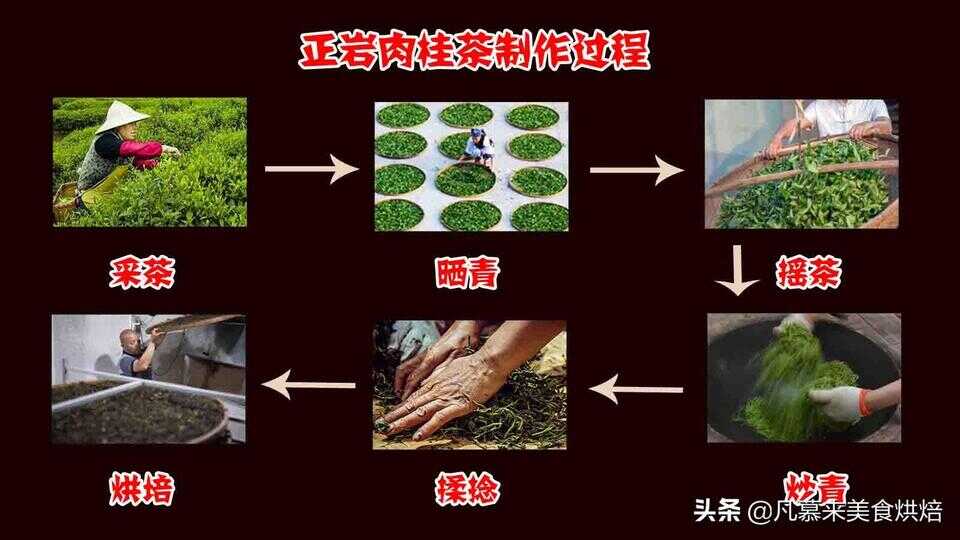 肉桂茶属于什么茶（肉桂茶是不是很贵）