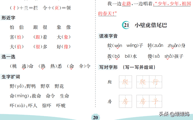 壁组词（蛛组词2个字）