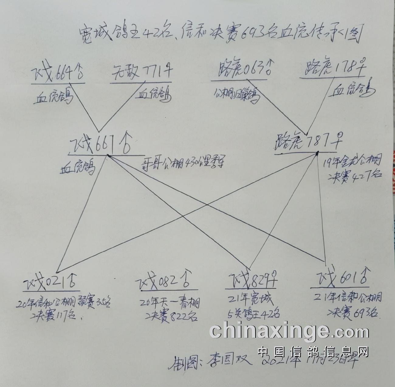 中国信鸽网各地公棚信息（中国信鸽信息网各地公棚直播）