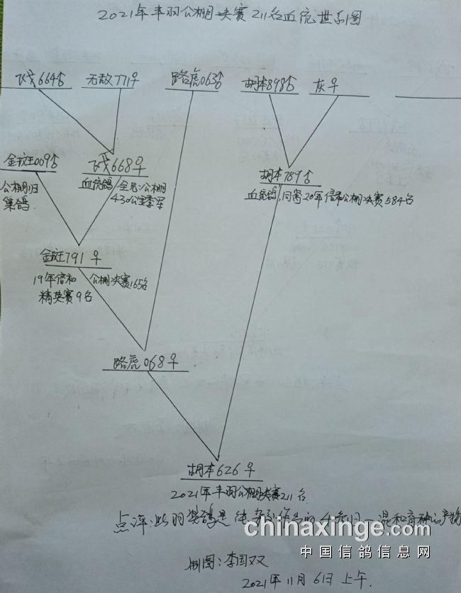 中国信鸽网各地公棚信息（中国信鸽信息网各地公棚直播）