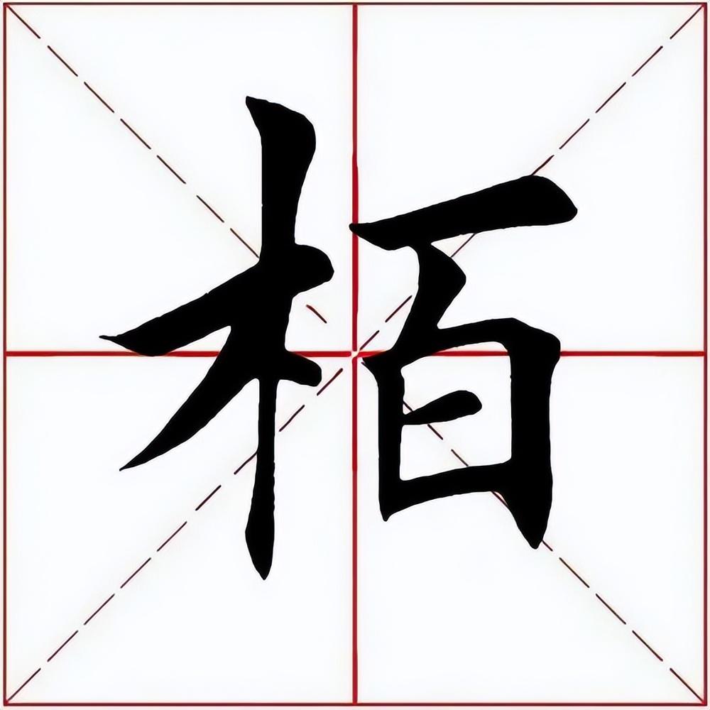 柏（名字里柏字怎么念）