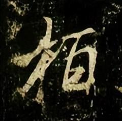 柏（名字里柏字怎么念）