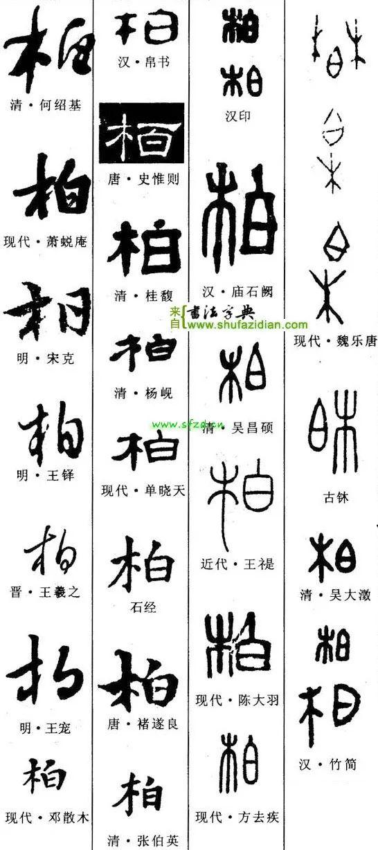 柏（名字里柏字怎么念）