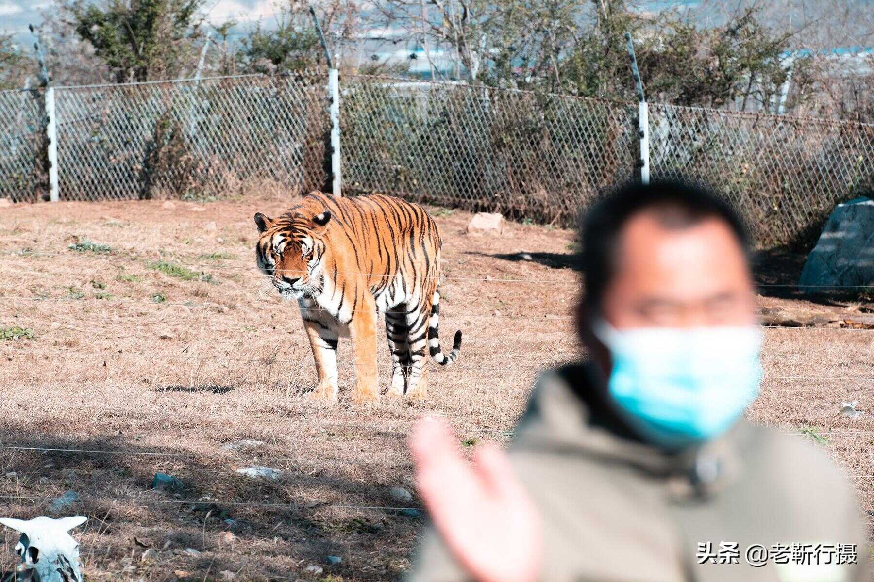 济南旅游攻略必去景点（济南十大名胜古迹）