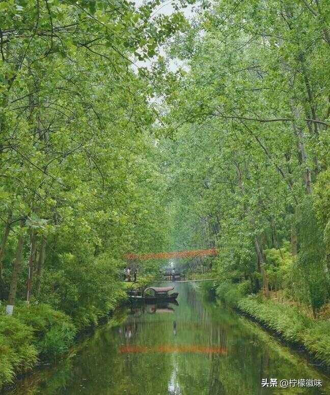 合肥有什么好玩的地方景点推荐（合肥美食排行榜前十名）