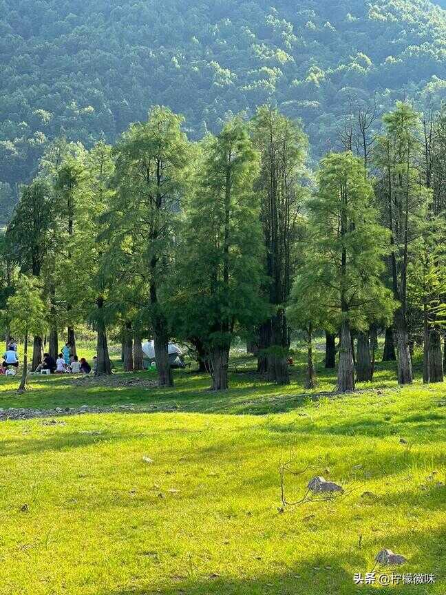 合肥有什么好玩的地方景点推荐（合肥美食排行榜前十名）