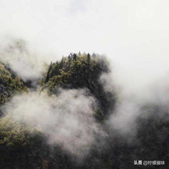 合肥有什么好玩的地方景点推荐（合肥美食排行榜前十名）