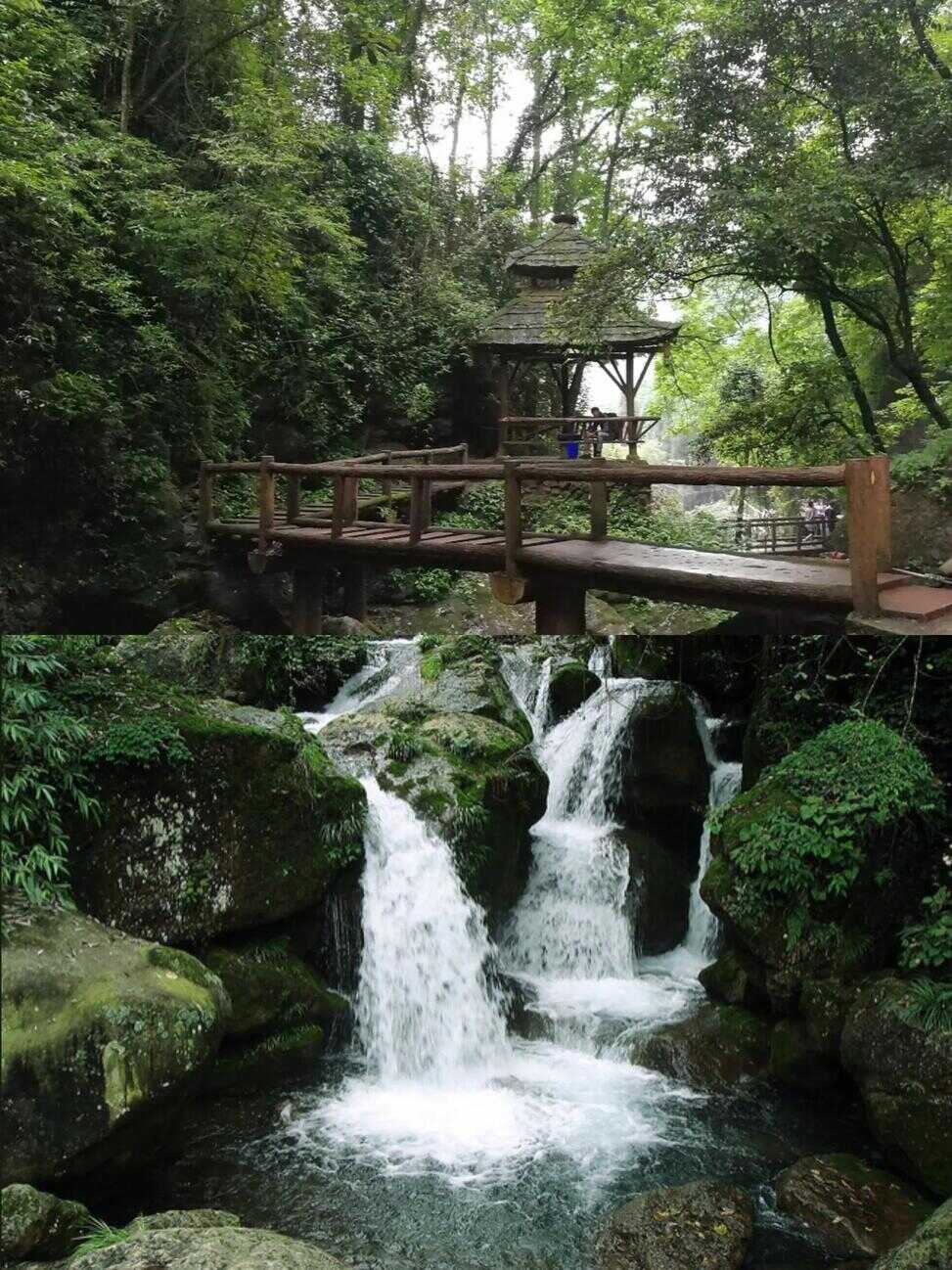 青城山旅游攻略（青城山特色景点）