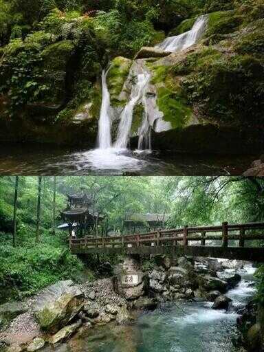 青城山旅游攻略（青城山特色景点）