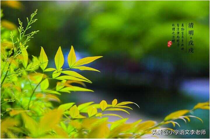 清明节的古诗10首（古诗《中秋》思乡）