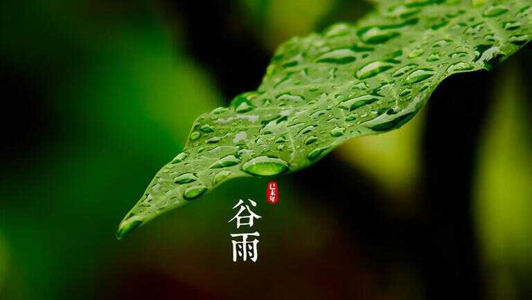 蝶恋花范成大（《蝶恋花》全诗）