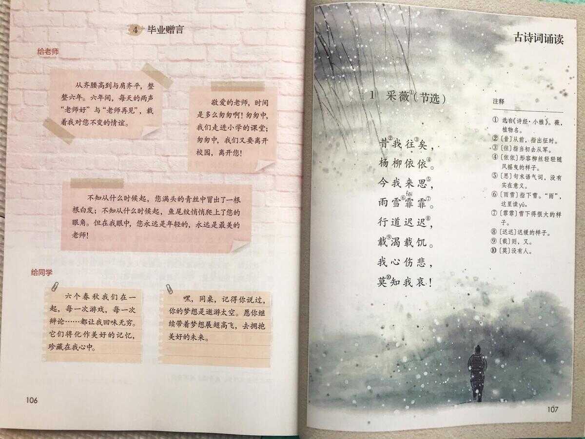 春夜喜雨的作者（春夜喜雨诗人是谁）