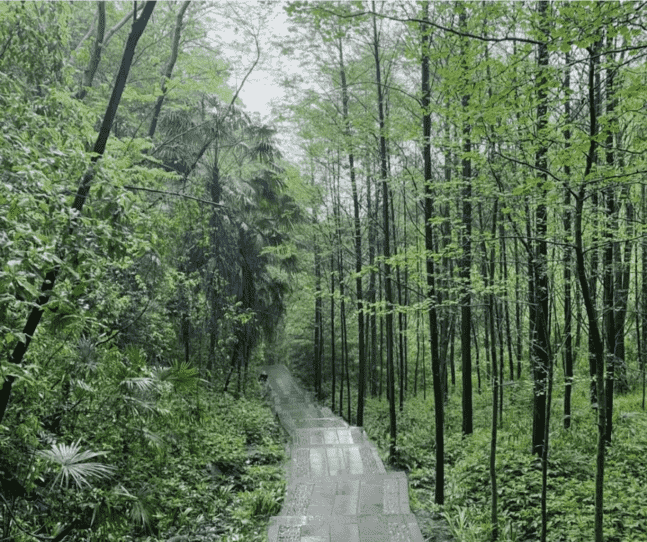 成都周边景点（成都有什么特色景点）