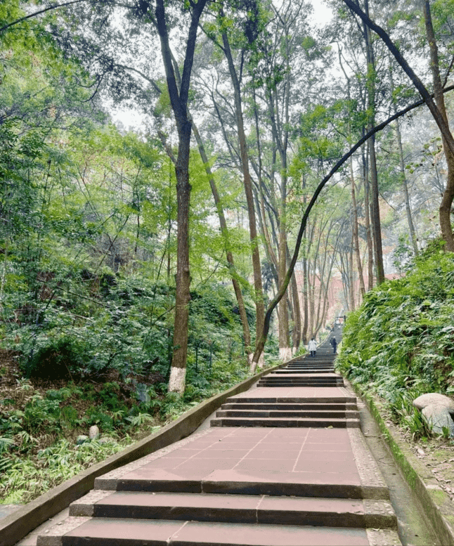 成都周边景点（成都有什么特色景点）